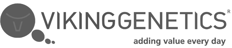 VikingGenetics logo grå