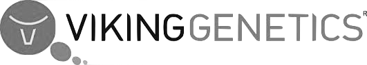 VikingGenetics logo-grå